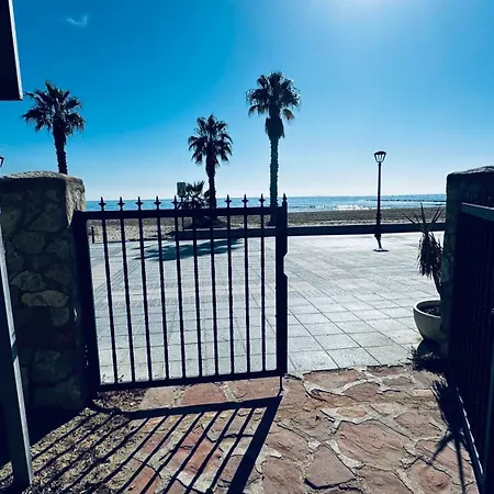 Oasis Marino