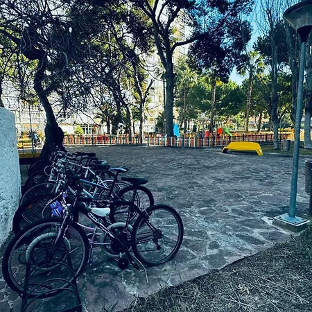 Oasis Marino