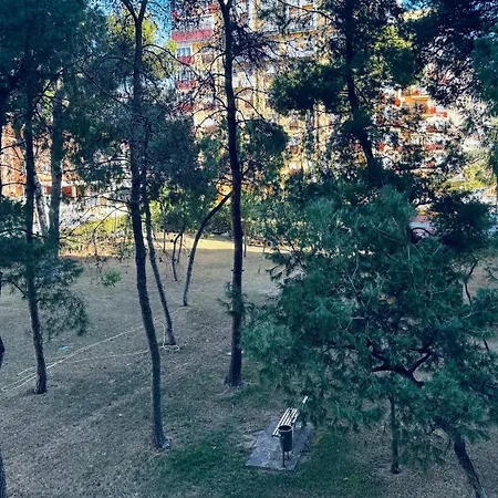 Oasis Marino *